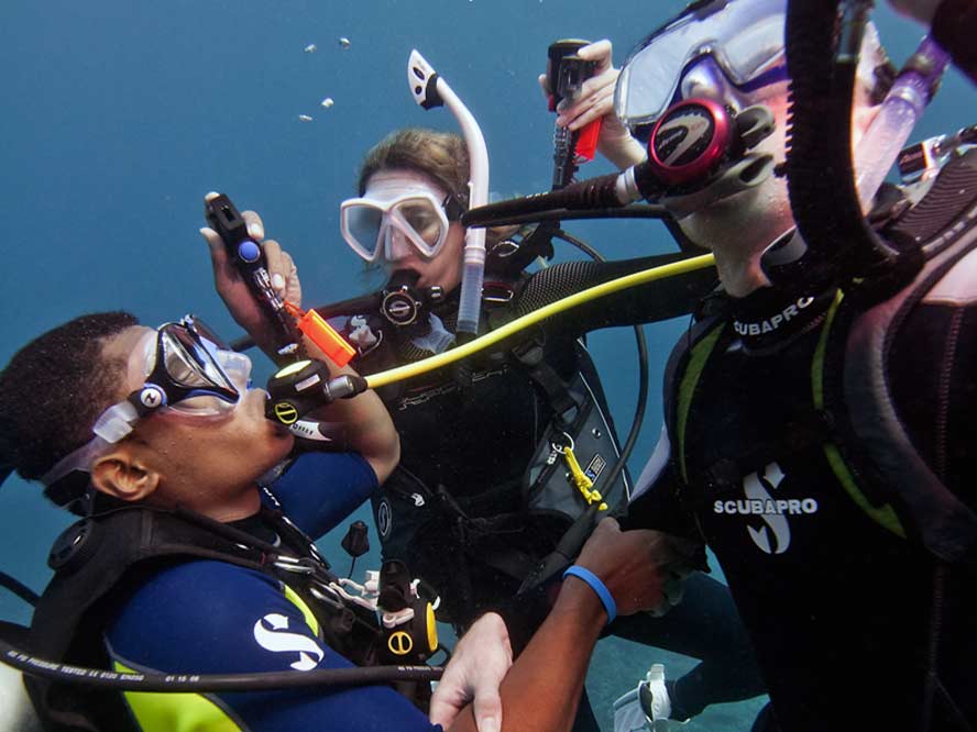 PADI IDC Dive Instructor Course | Seafari Pro Dive Thailand